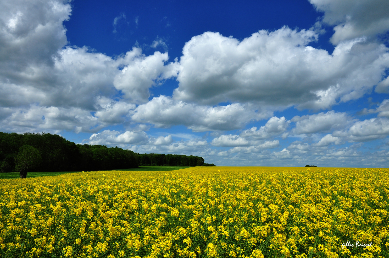 Floréal