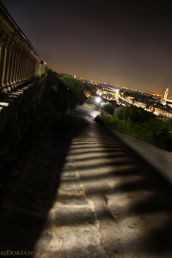 Florence at night