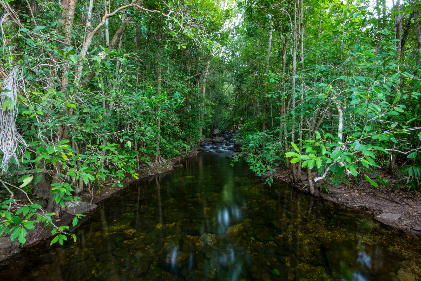 Florence Creek