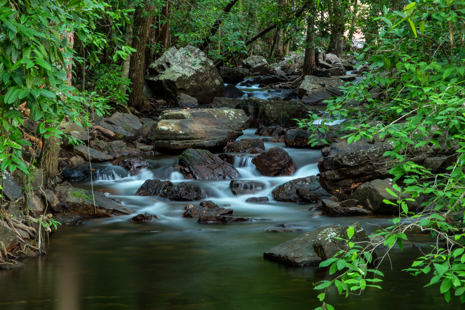 Florence Creek