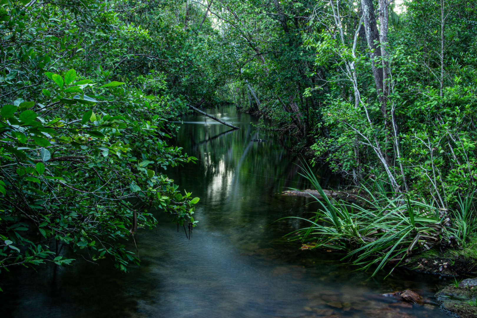 Florence Creek