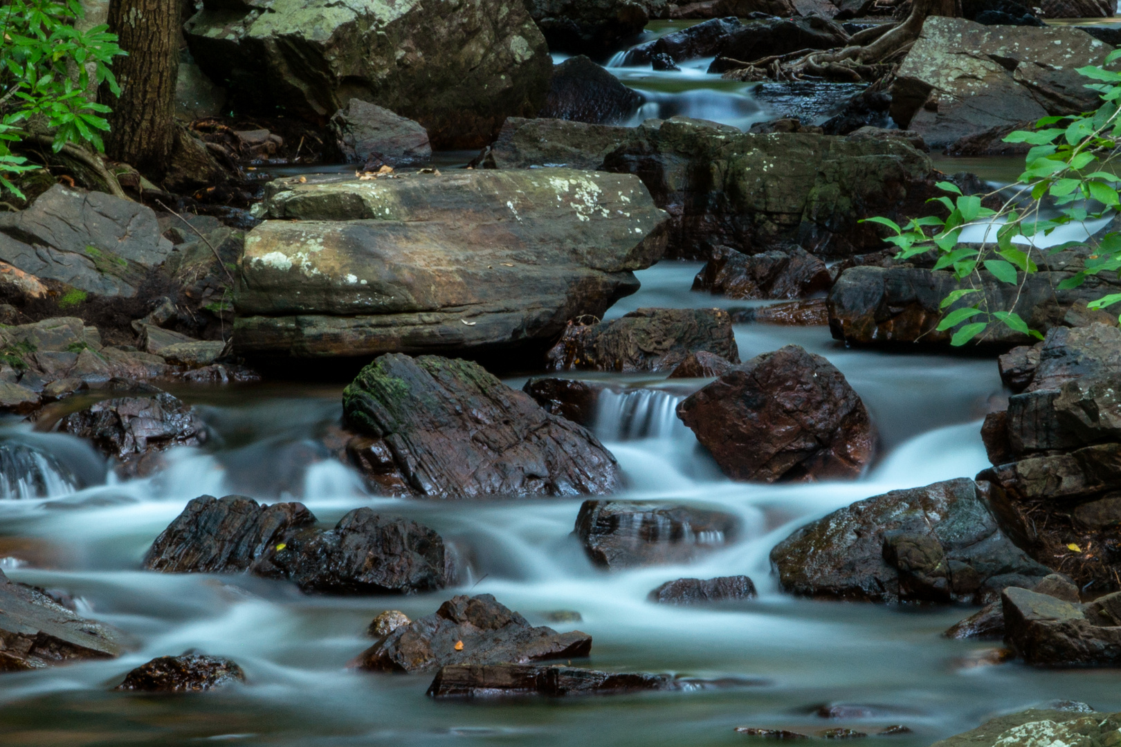 Florence Creek