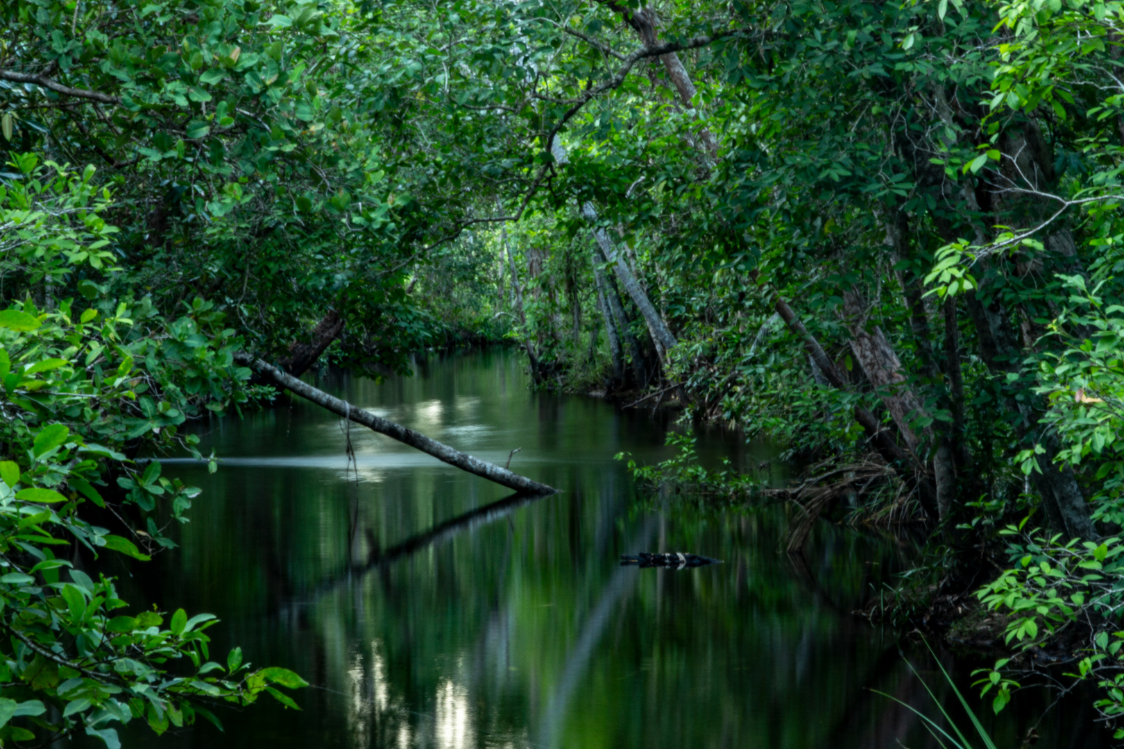 Florence Creek