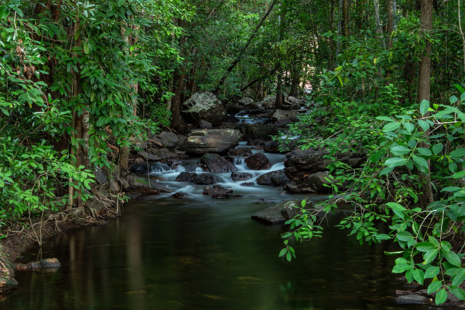 Florence Creek