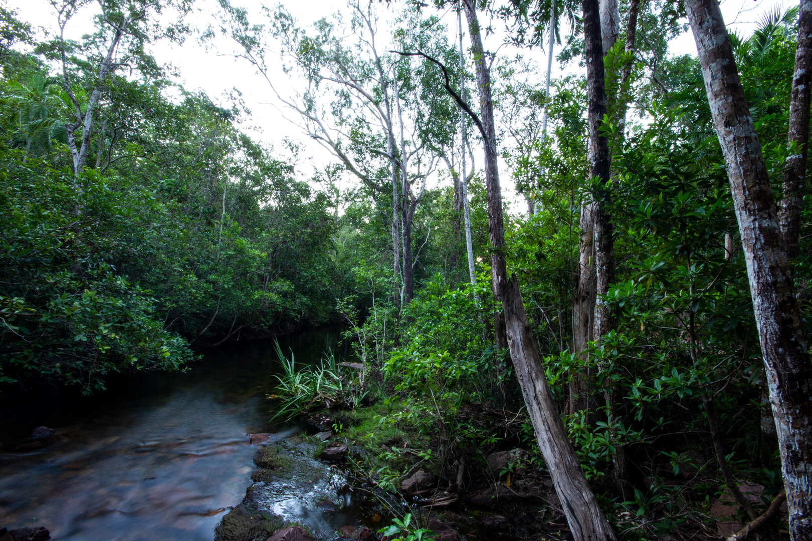 Florence Creek