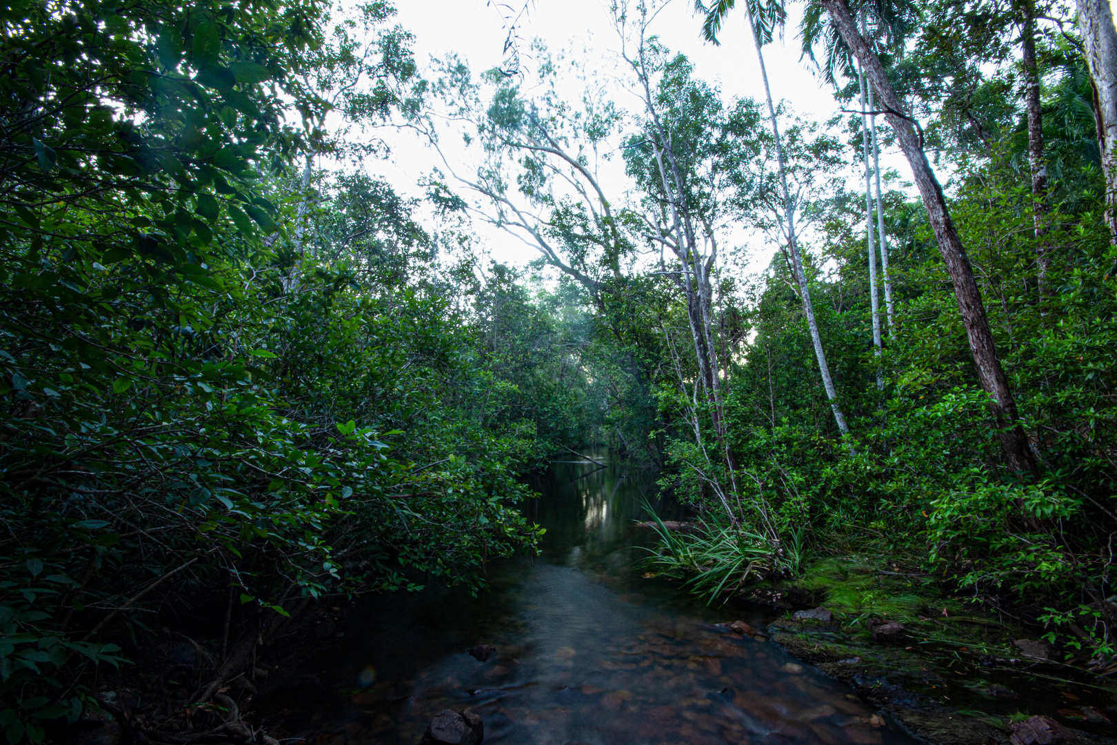 Florence Creek