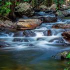 Florence Creek, Litchfield Nationalpark