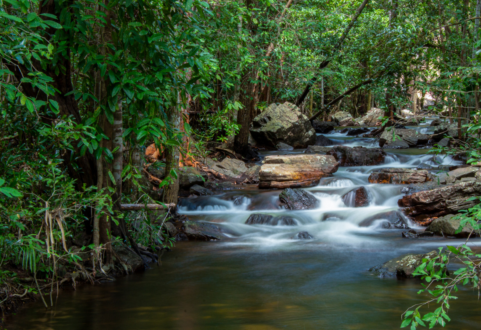 Florence Creek, Litchfield Nationalpark