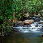 Florence Creek, Litchfield Nationalpark