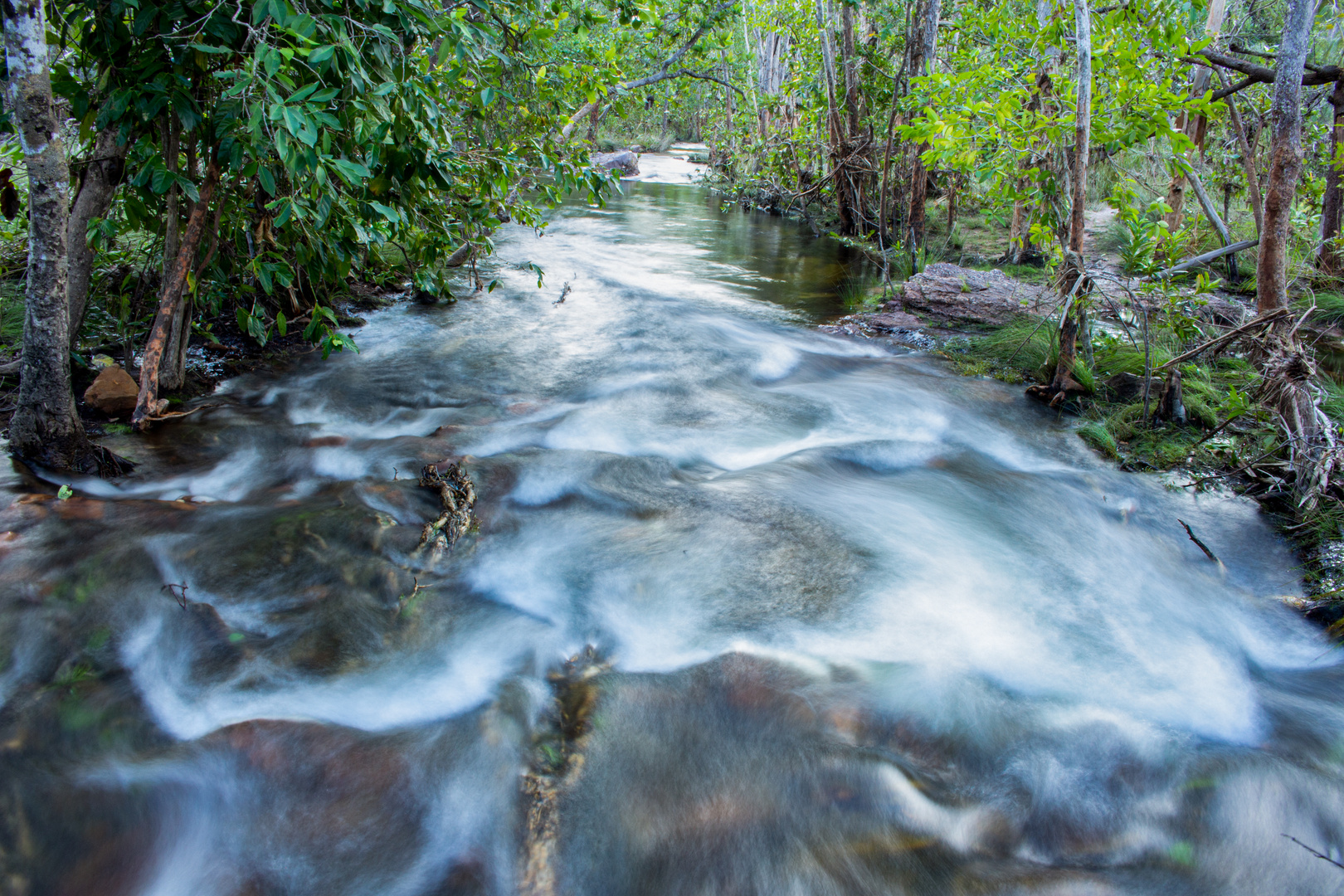 Florence Creek, Litchfield Nationalpark