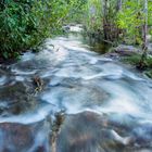 Florence Creek, Litchfield Nationalpark