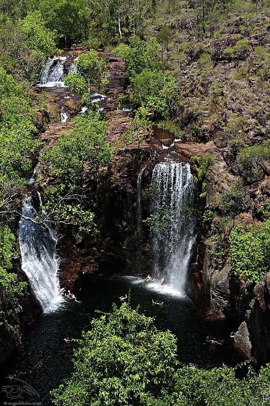 Florence Falls