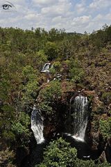 Florence Falls im Litchfield Nationalpark