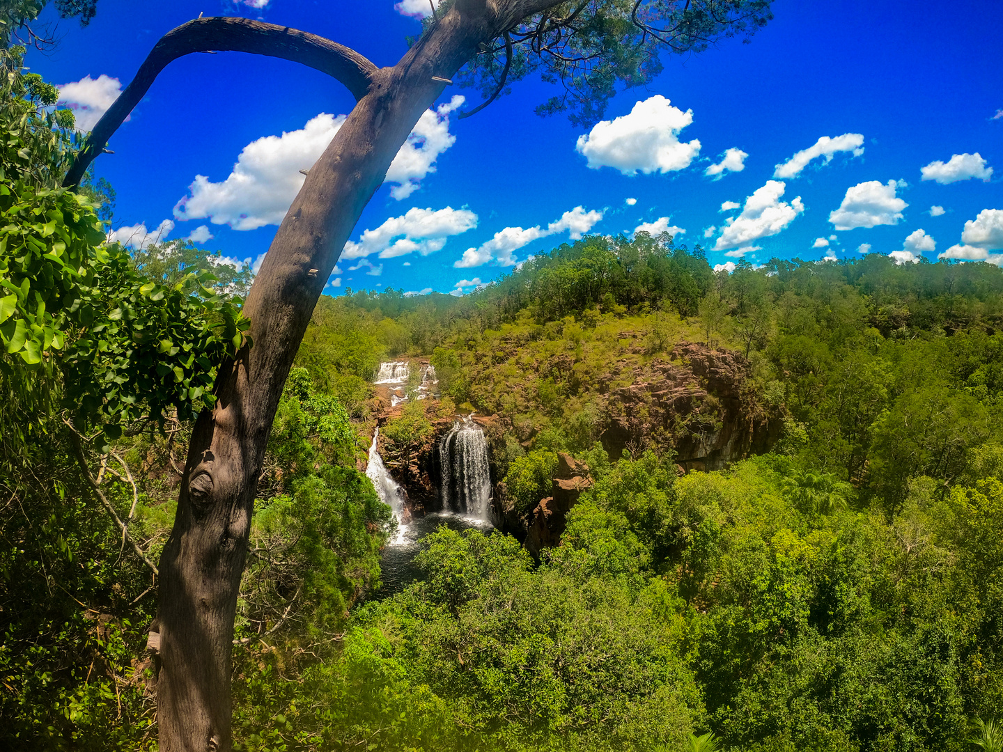 Florence Falls, Litchfield Nationalpark