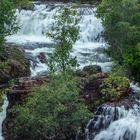 Florence Falls, Litchfield Nationalpark