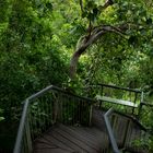 Florence Falls, Litchfield Nationalpark I