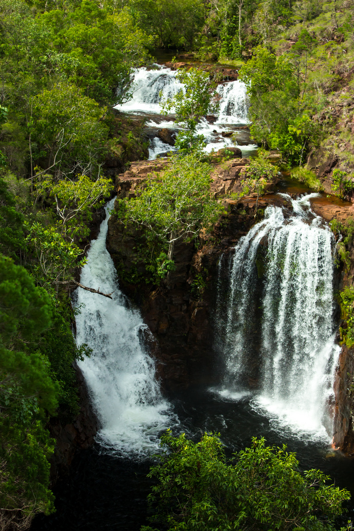 Florence Falls, Litchfield Nationalpark III