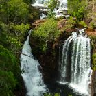 Florence Falls, Litchfield Nationalpark III