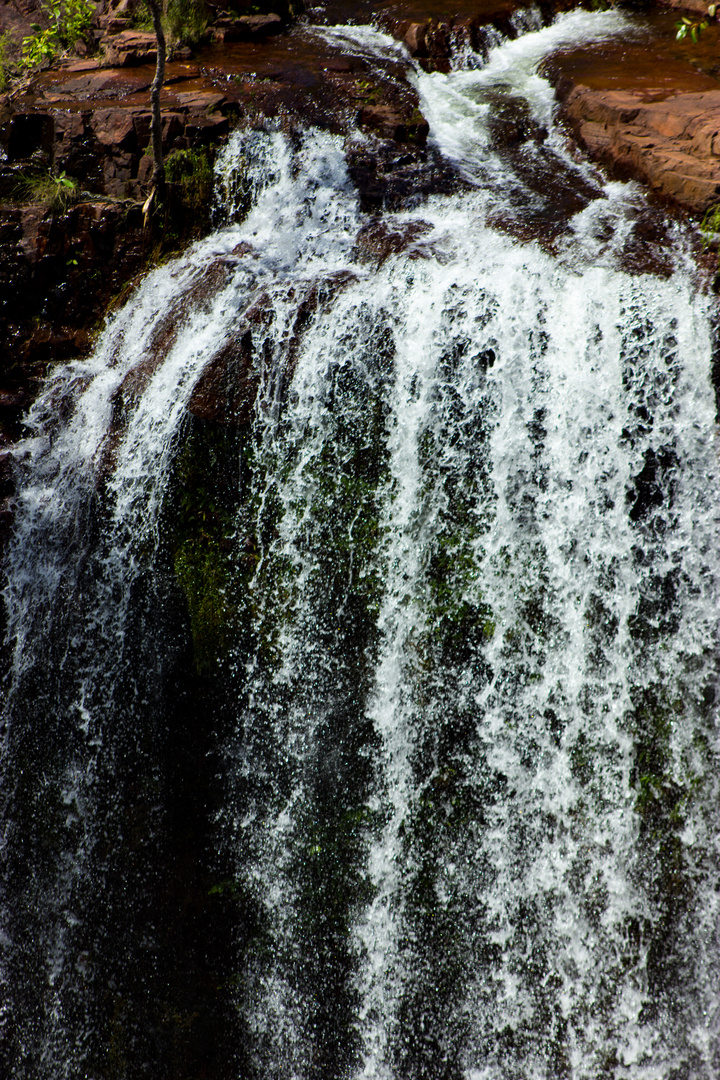 Florence Falls, Litchfield Nationalpark iX