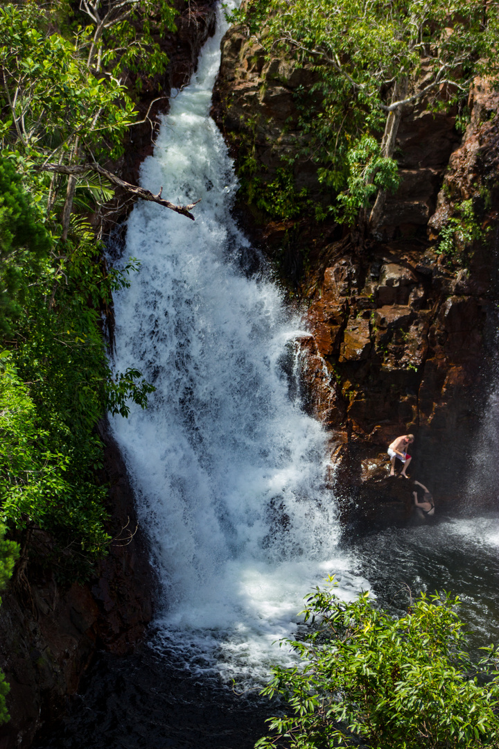 Florence Falls, Litchfield Nationalpark XI