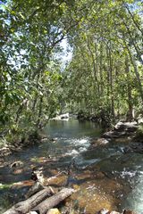 Florence Falls (Litchfield NP)