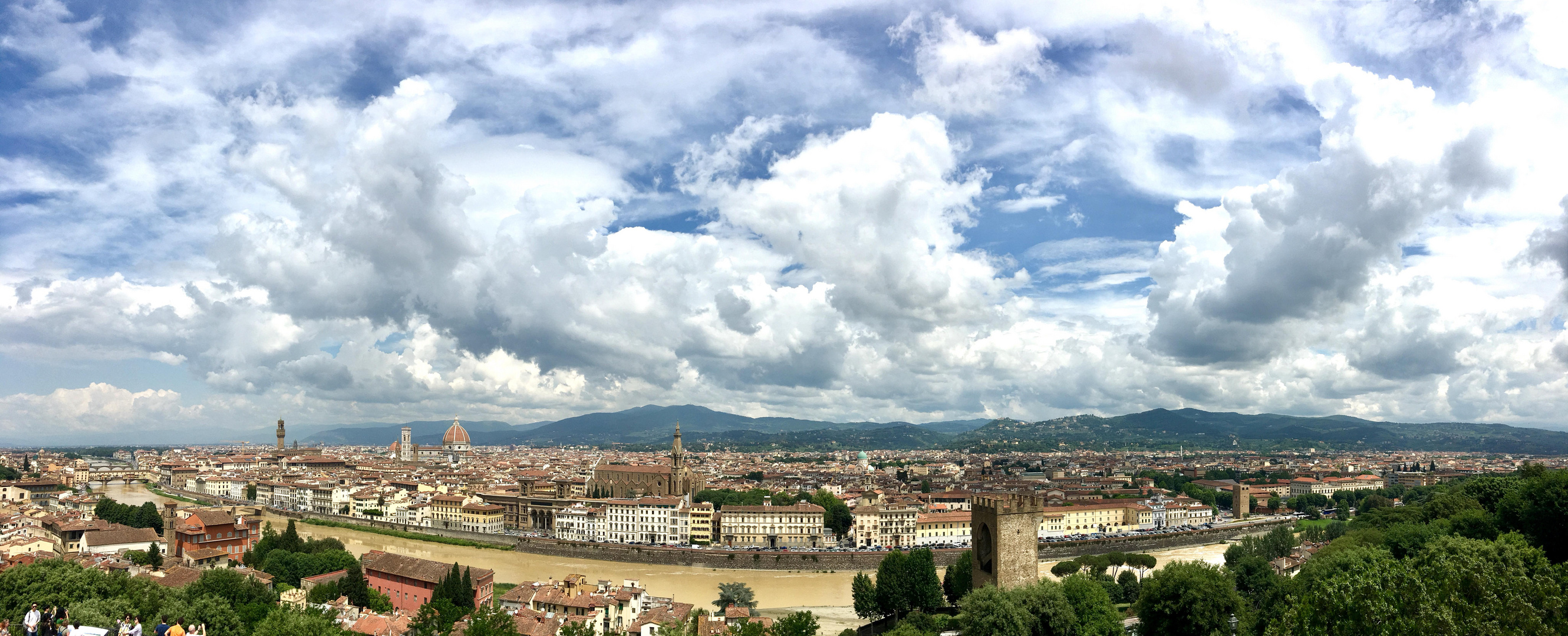 Florence from above