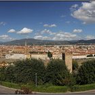 Florence | panoramic view |