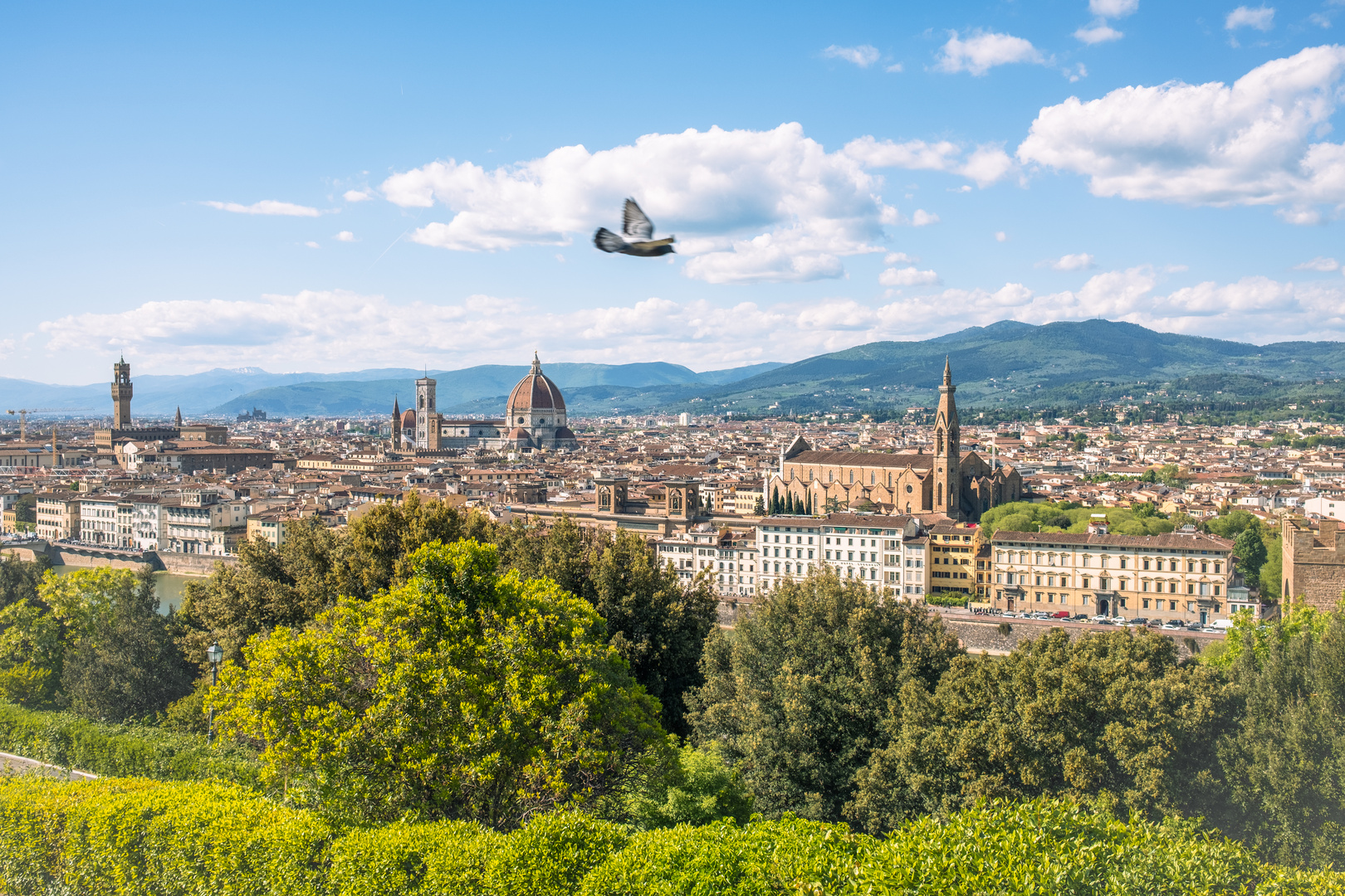 Florence_View from Piazzale Michelangelo