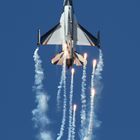 Florennes #23 F-16AM Fighting Falcon