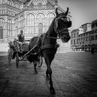 Florenz 1