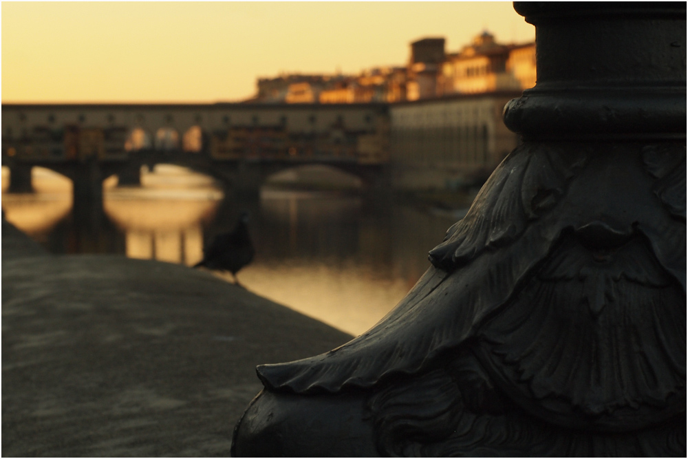 Florenz - Florence - Firenze [13]