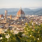 Florenz Portrait