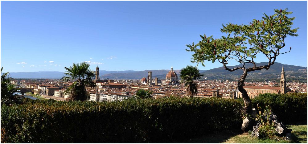 Florenz vom Piazzale Michelangelo