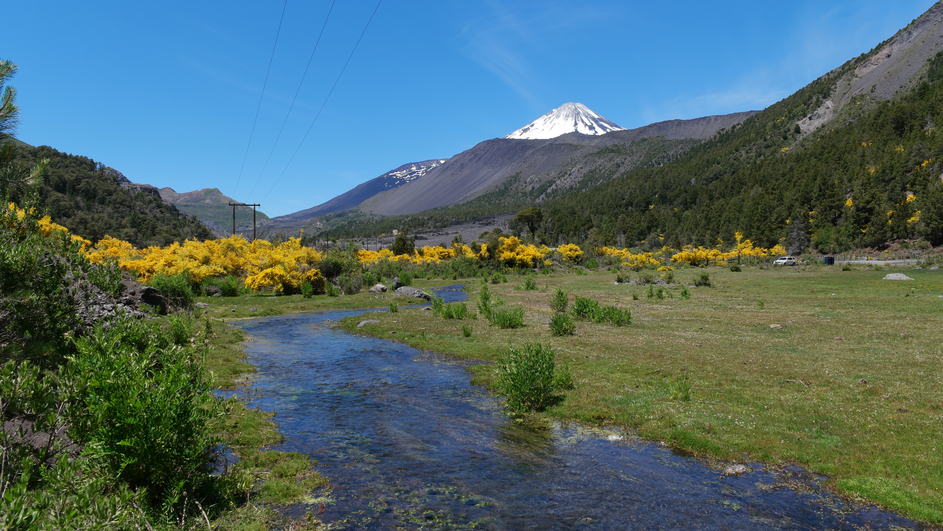 Flores amarillas y volcán