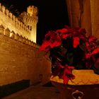 Flores de Navidad del Palacio real de la Almudaina en Palma de Mallorca. 