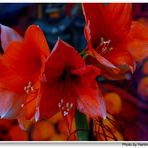 Flores delante de un bodegón de Sitges Febrer (un pintor mallorquín)