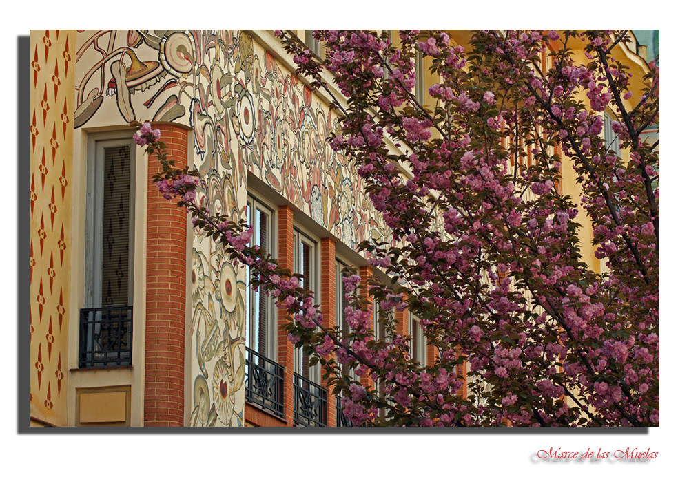 Flores en la calle....