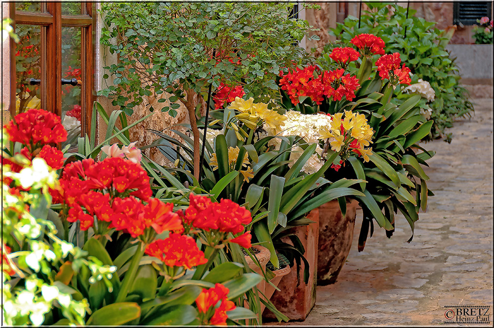 Flores en la puerta