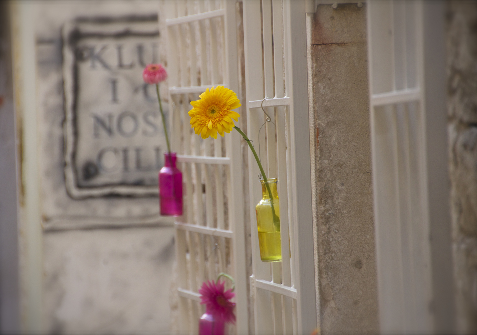 Flores en un rincón de Split