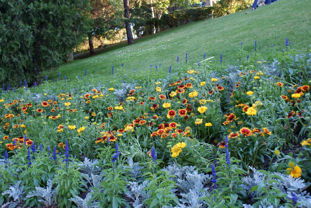 flores en una ciudad