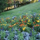 flores en una ciudad