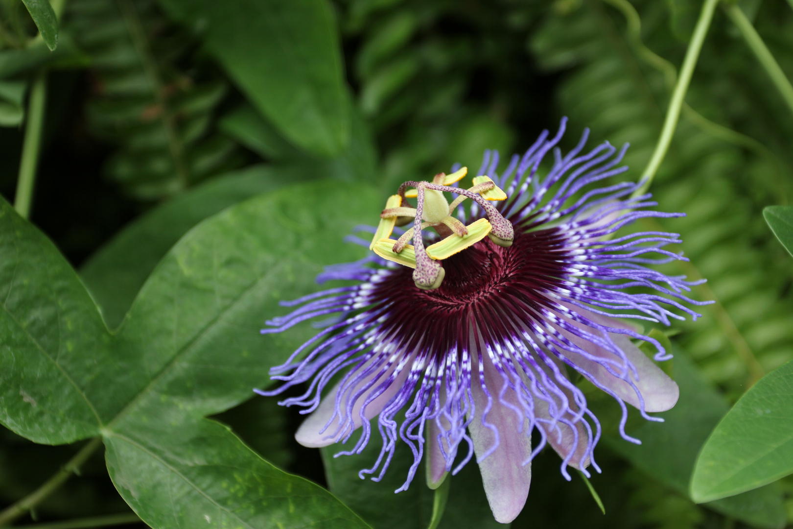 Floriade 2012