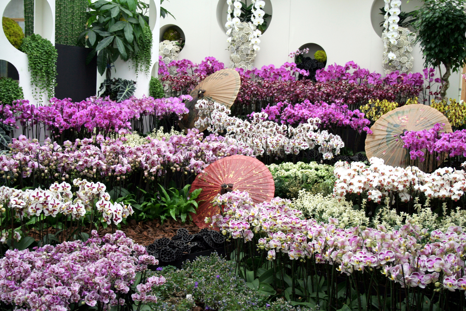 Floriade 2012 - Orchideen-Pracht