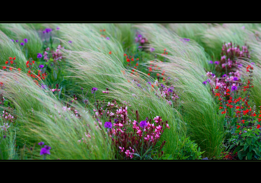 Floriade