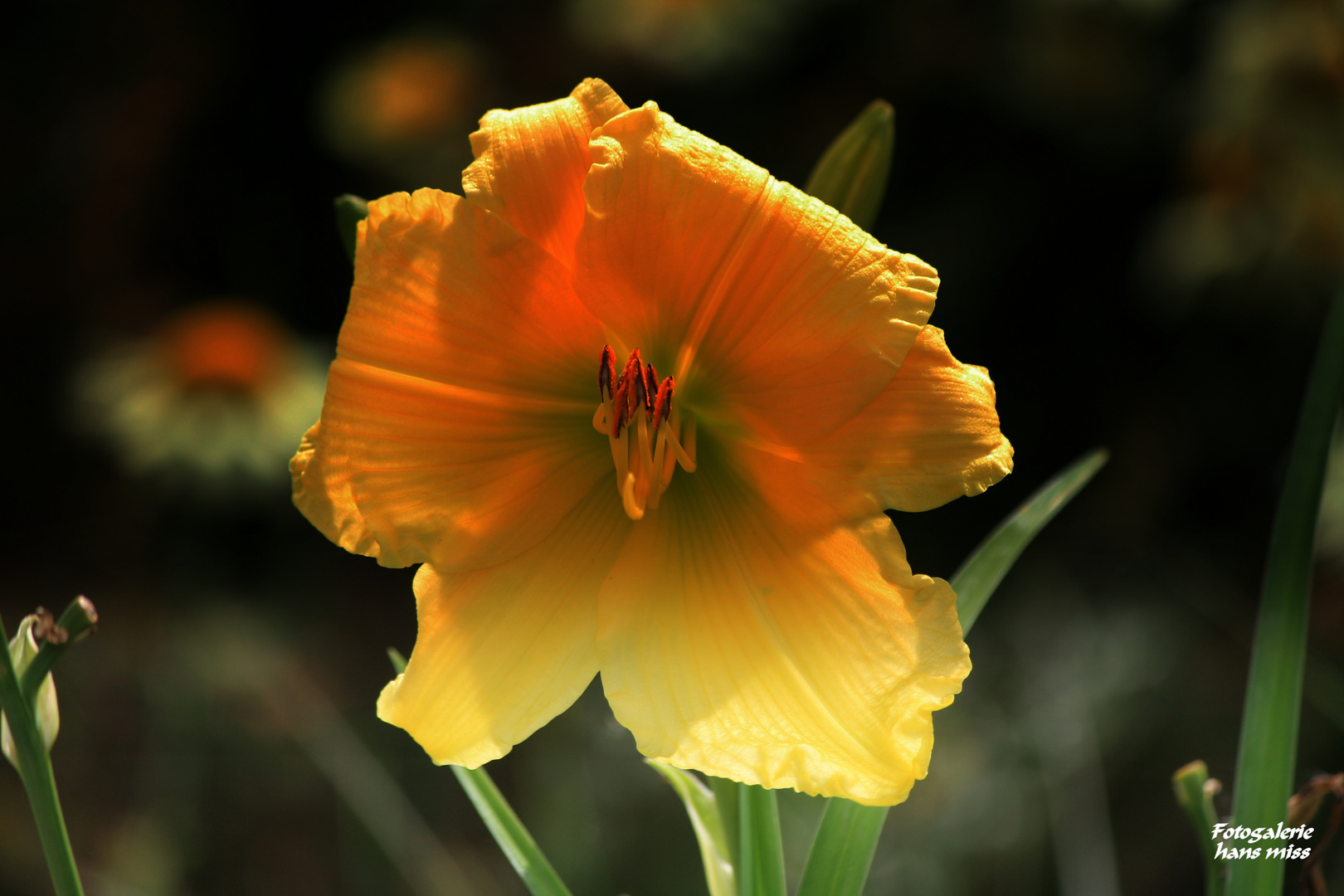 Floriade in Venlo 2012