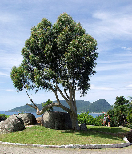 Florianopolis