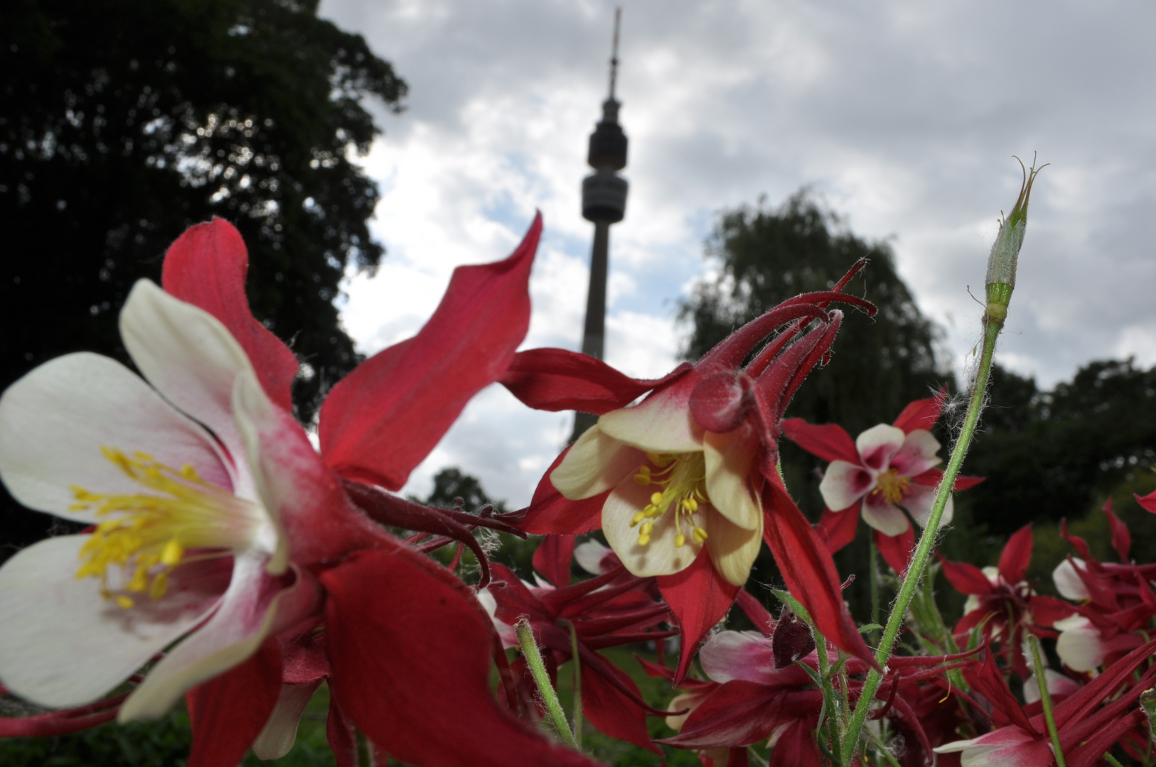 Florianturm Feat Blümchen :D