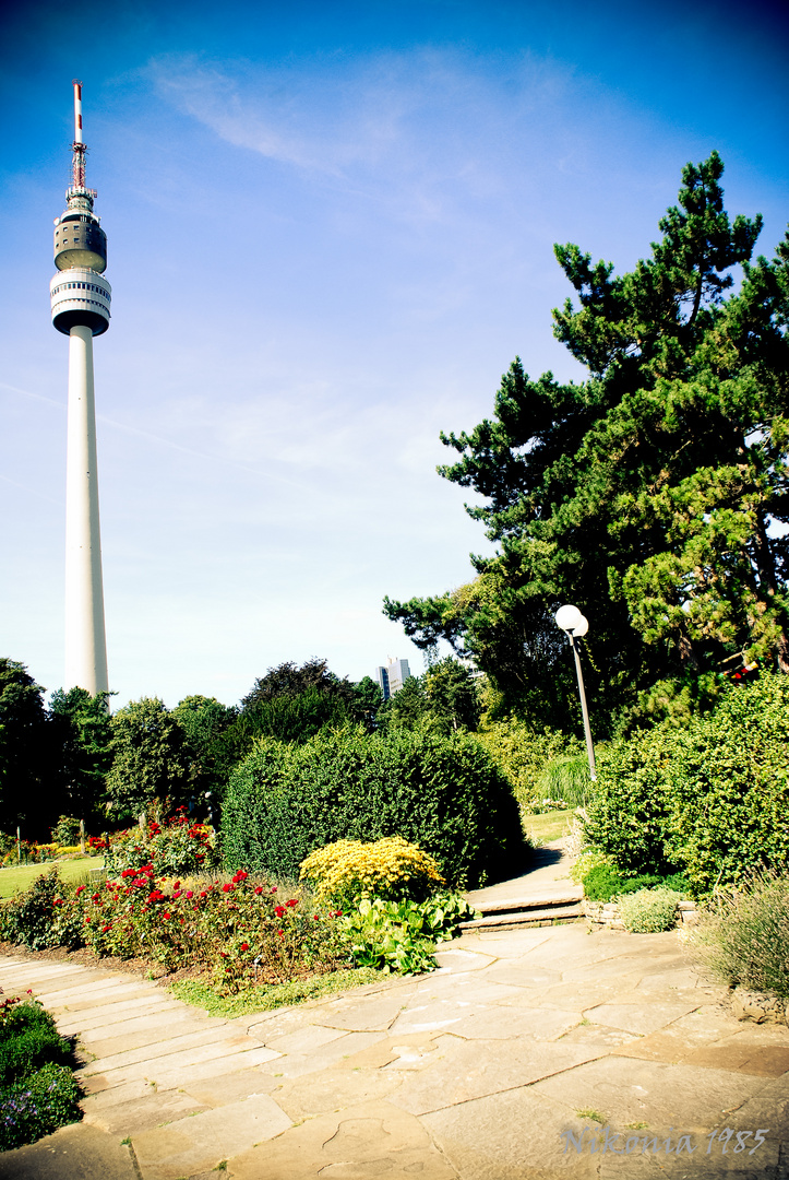 Florianturm im Grünen