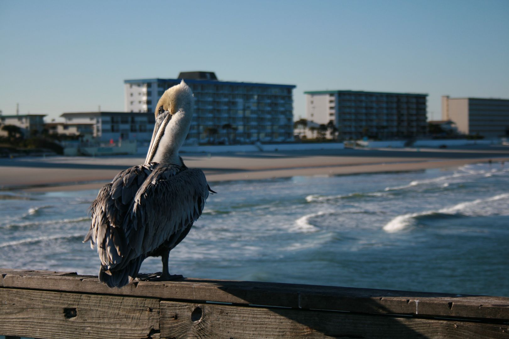 florida