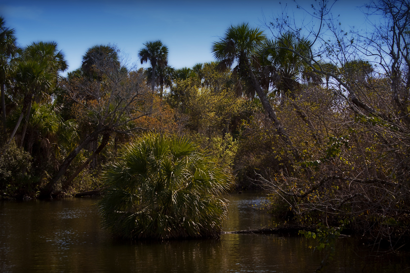 Florida Amazon